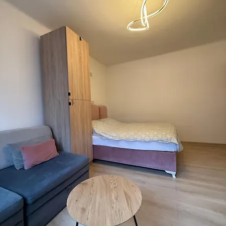 Apartman Divna *